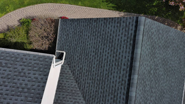 Best Roof Moss and Algae Removal  in Englewood, CO